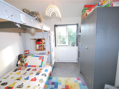 Picture 24